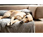 teddyfleece meubelbescherming Guard