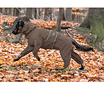 Allover honden regenjas Sequoia II, 0 g