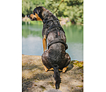 veiligheidstuig Irmi voor honden