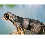 veiligheidstuig Irmi voor honden