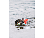 honden waterspeelgoed Marble Bone