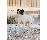 honden piepspeeltje Unicorn