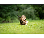 honden piepspeeltje Unicorn