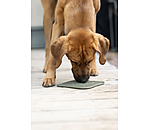 likmat Classic Line voor honden