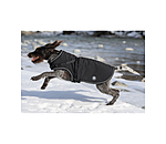 softshell hondenjas Cruz met ge�ntegreerd tuigje, 160 g