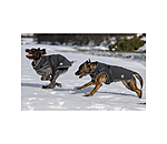 softshell hondenjas Cruz met ge�ntegreerd tuigje, 160 g