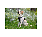 hondentuig Expedition