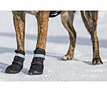 pootbescherming schoenen Antarctica voor honden