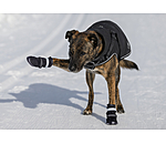 pootbescherming schoenen Antarctica voor honden