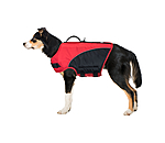 hondenzwemvest Life Guard