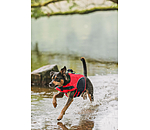 hondenzwemvest Life Guard