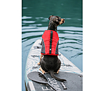 hondenzwemvest Life Guard