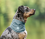 hondenhalsdoek Cooling