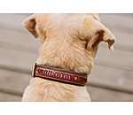 lederen hondenhalsband Good Dog