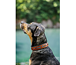 lederen hondenhalsband Good Dog