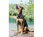 lederen hondenhalsband Good Dog