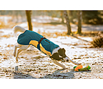 Lightweight honden regenmantel Alma, 0 g