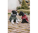 softshell hondenjas met fleecekraag Frida