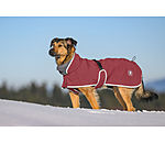 softshell hondenjas met fleecekraag Frida