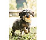 piepspeeltje Chicken voor honden
