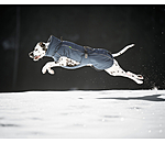 Winter-hondenmantel Marlon, 200-300 g