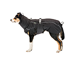 Winter-hondenmantel Marlon, 200-300 g