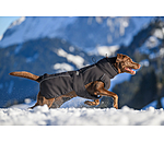 Winter-hondenmantel Marlon, 200-300 g