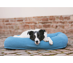 Sugar dog hondenbed Terry