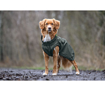 hondenregenmantel Forest Drizzle, 50 g