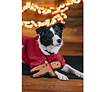 Sugar dog kerst fleecemantel Santa's Dream