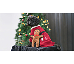 hondenspeeltje Gingerman