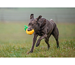 Sugar dog hondenspeeltje Pineapple