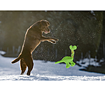 Sugar dog hondenspeeltje Strong Dino