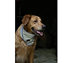 reflecterende halsdoek voor honden