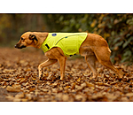 reflecterend veiligheidsvest voor honden