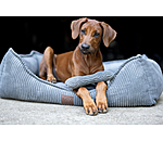 knuffelbot van corduroy