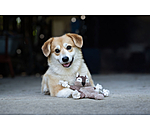 hondenspeelgoed eekhoorn