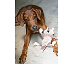 hondenspeelgoed eekhoorn