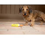 piepspeelgoed IJslolly