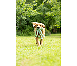 hondenspeeltje Octopus