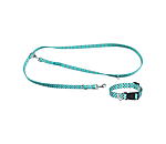 halsband en riem set zap