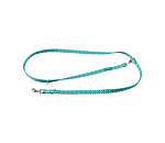 halsband en riem set zap