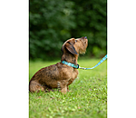 halsband en riem set zap