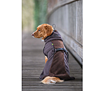 teddyfleece hondenmantel Frido
