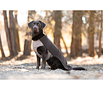honden ondertrek- en fleecetrui Basic