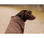 honden ondertrek- en fleecetrui Basic