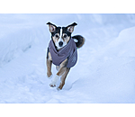 winterhondenmantel Archie Snow Drift, 200 g