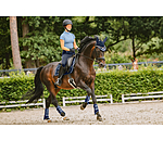 peesbeschermers Swiss Design, voorbenen