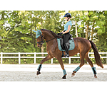 functionele peesbeschermers Mesh Technology (voorbenen)