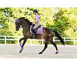 oornetje Sophistication